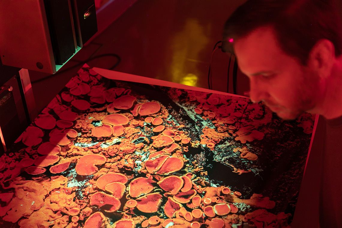 Lightvessel Duratrans print detail