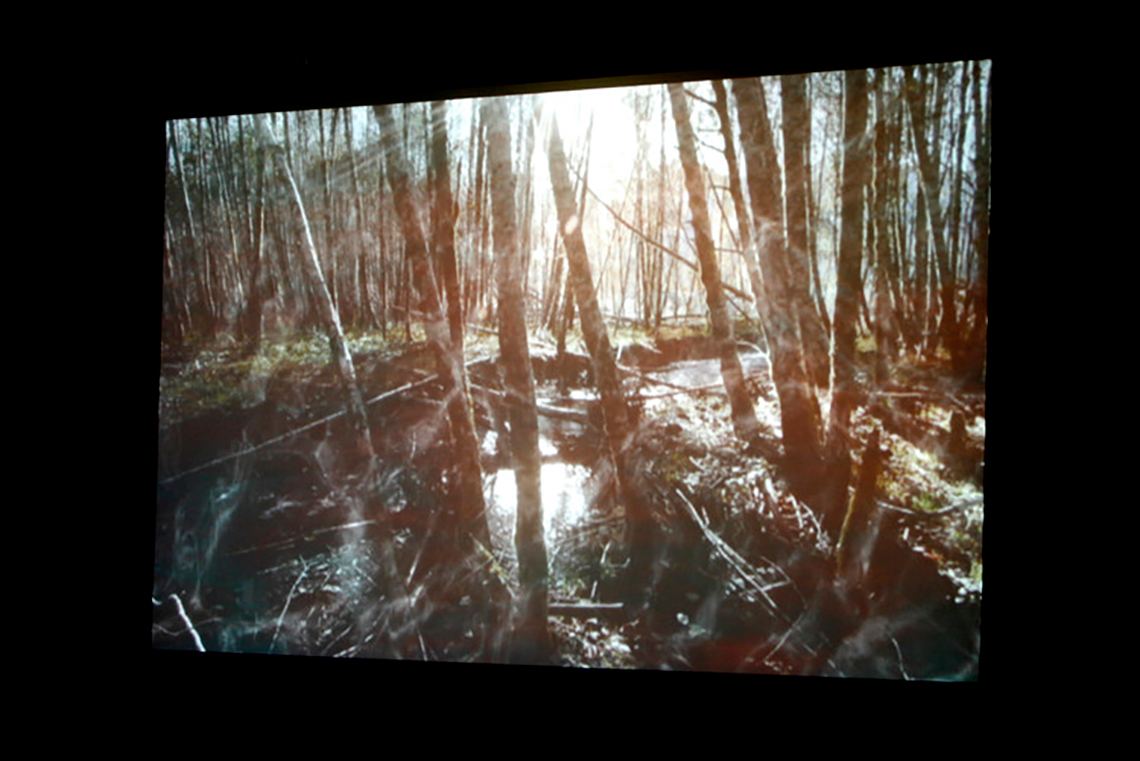 Apperception — installation view, Currents Media Festival