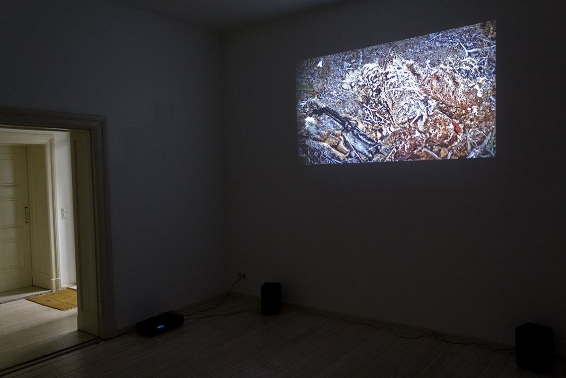 Memory of a Desert Journey — installation view, GlogauAir Berlin