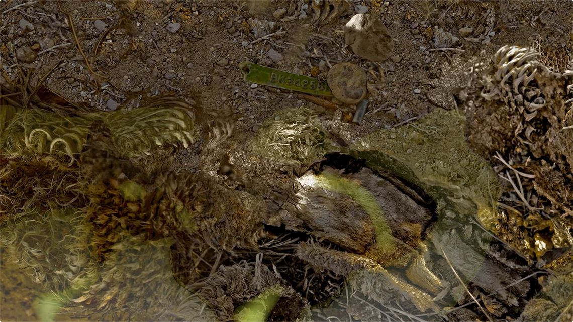 Memory of a Desert Journey — still, deep red form in desert scrub