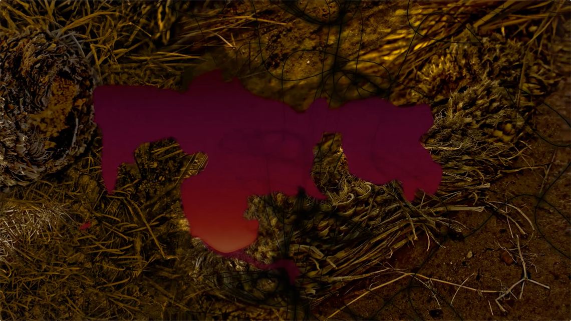 Memory of a Desert Journey — still, desert floor with dog tag