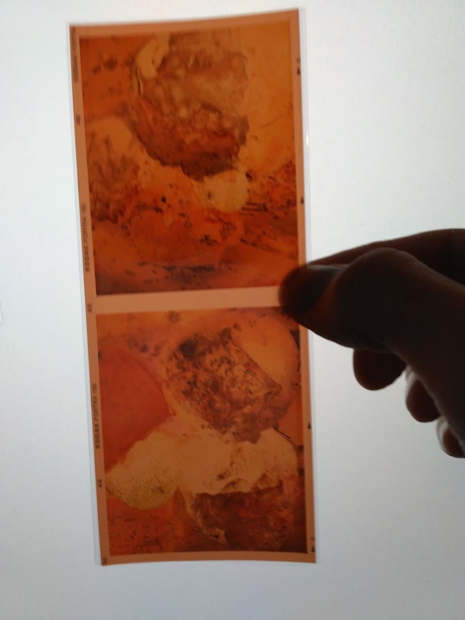 Forbidden Colours: medium format film, studio view
