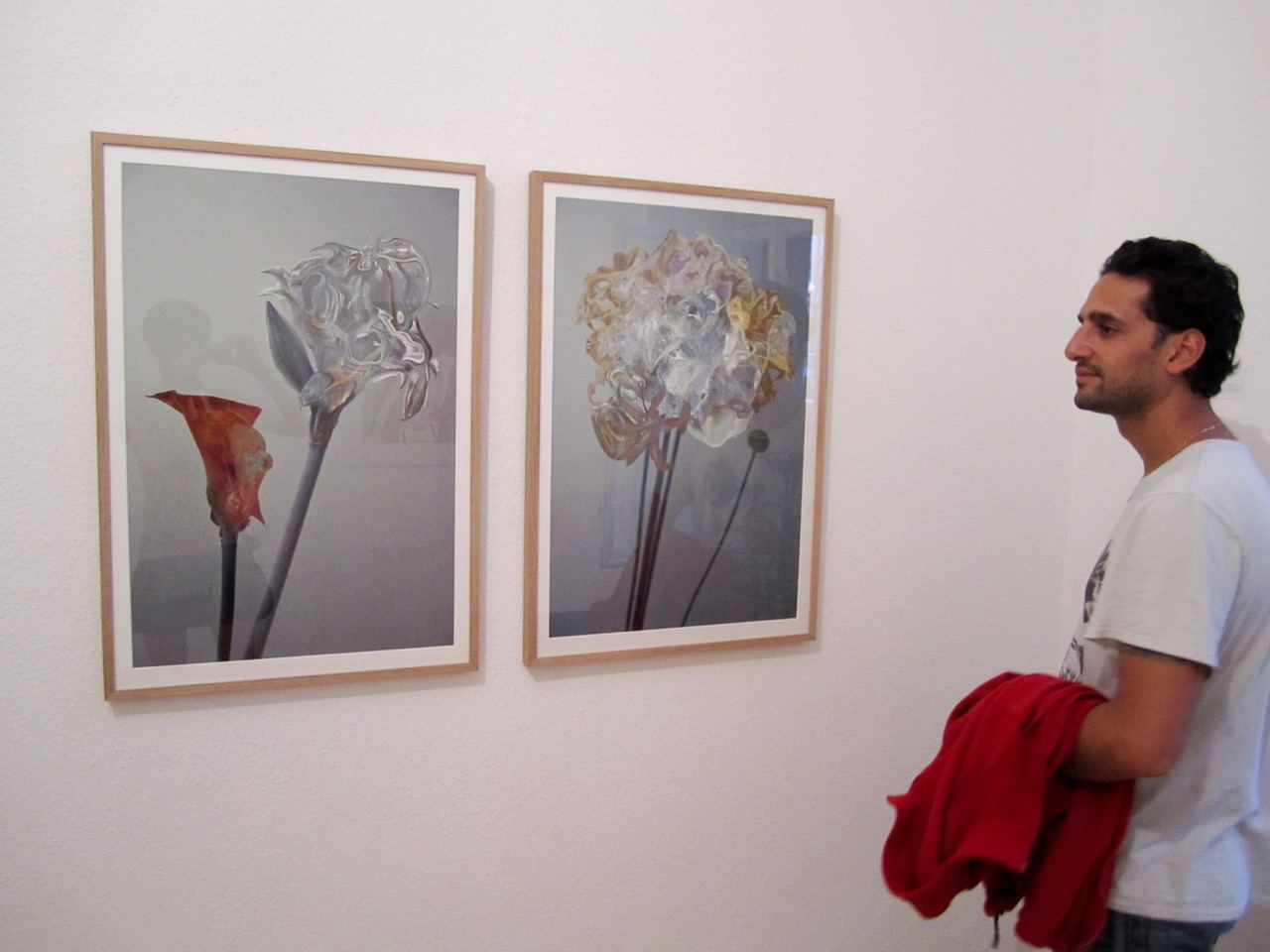 Inflorescence: installation view (1)
