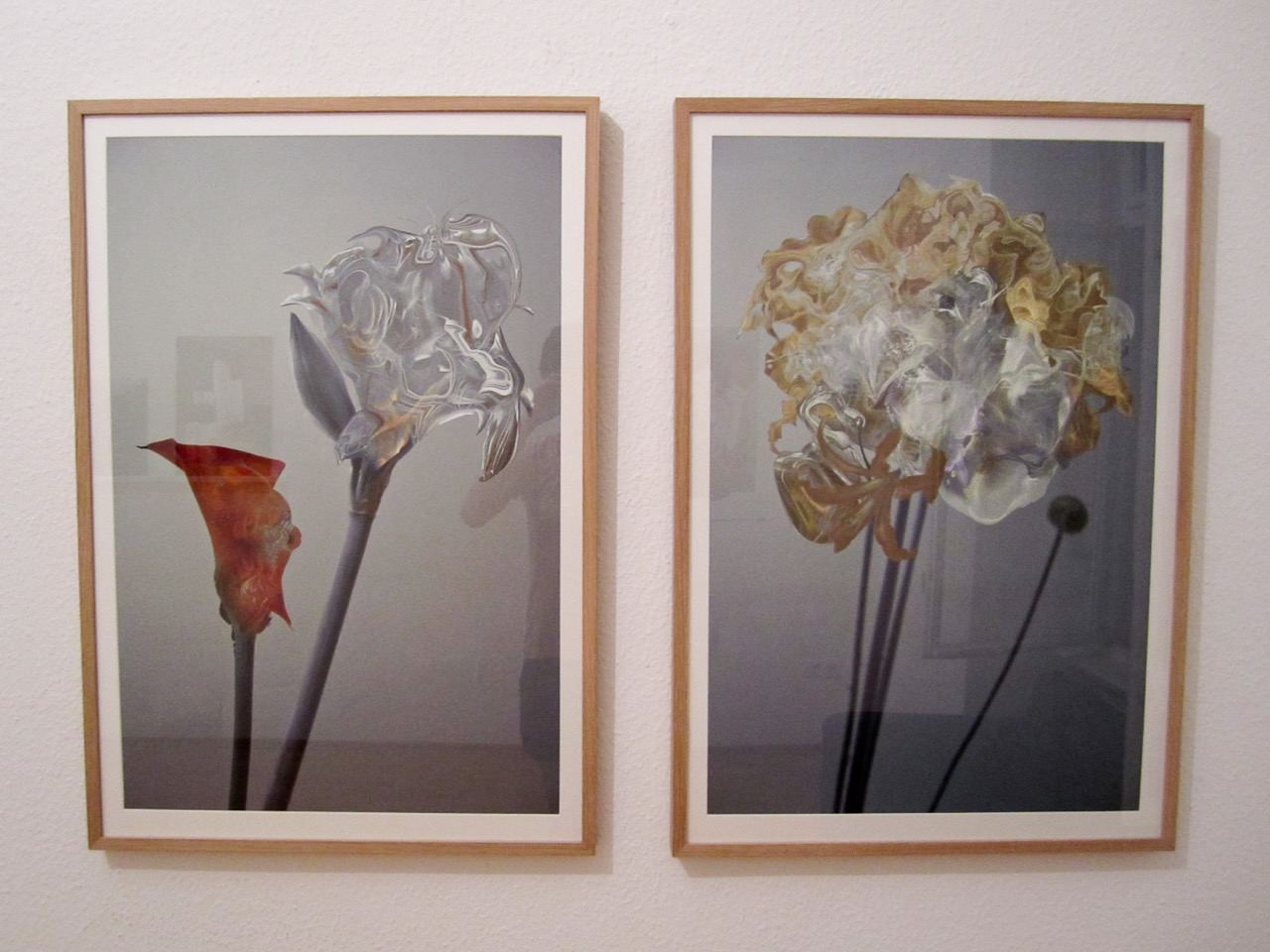 Inflorescence: installation view (2)