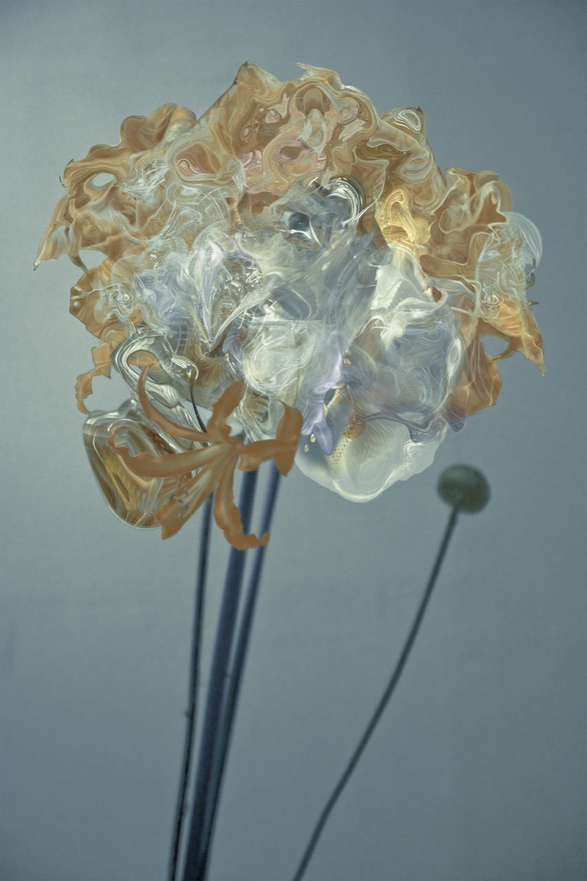Inflorescence: installation view (4)