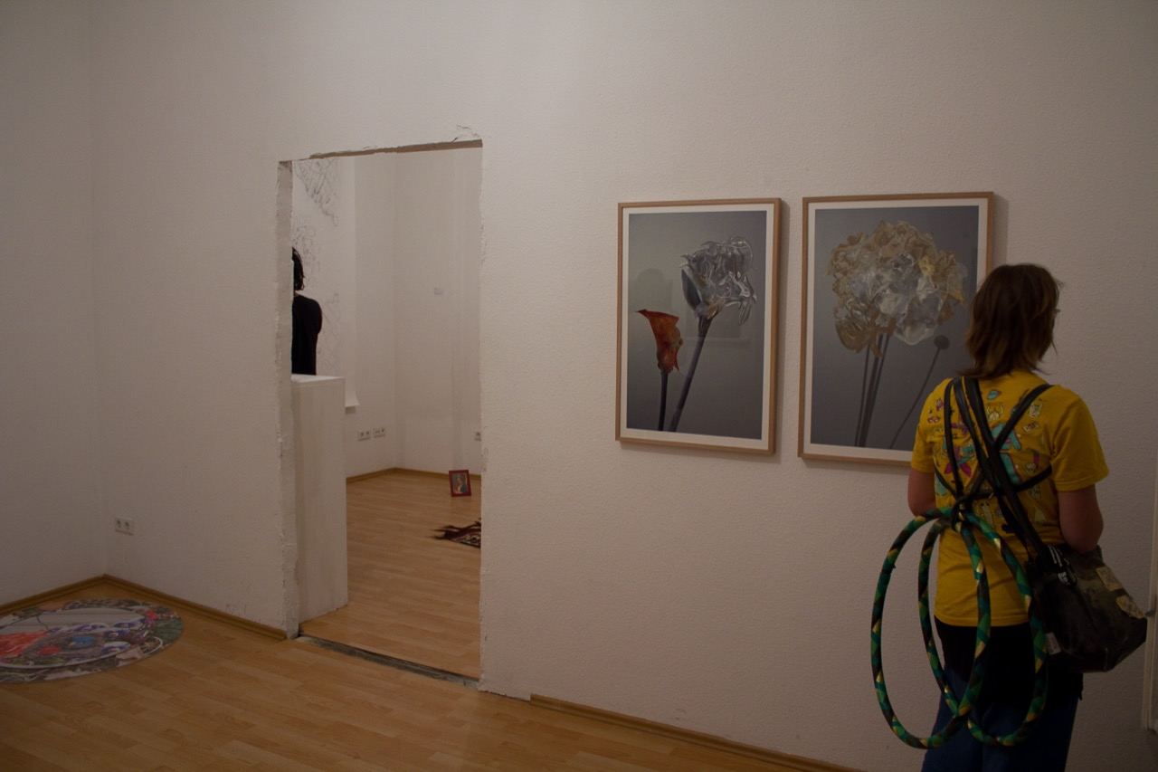 Inflorescence: installation view (5)