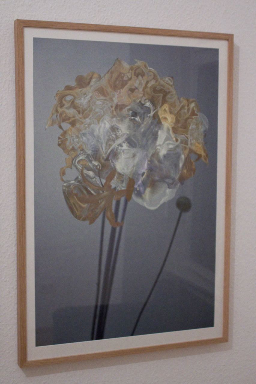 Inflorescence: installation view (6)