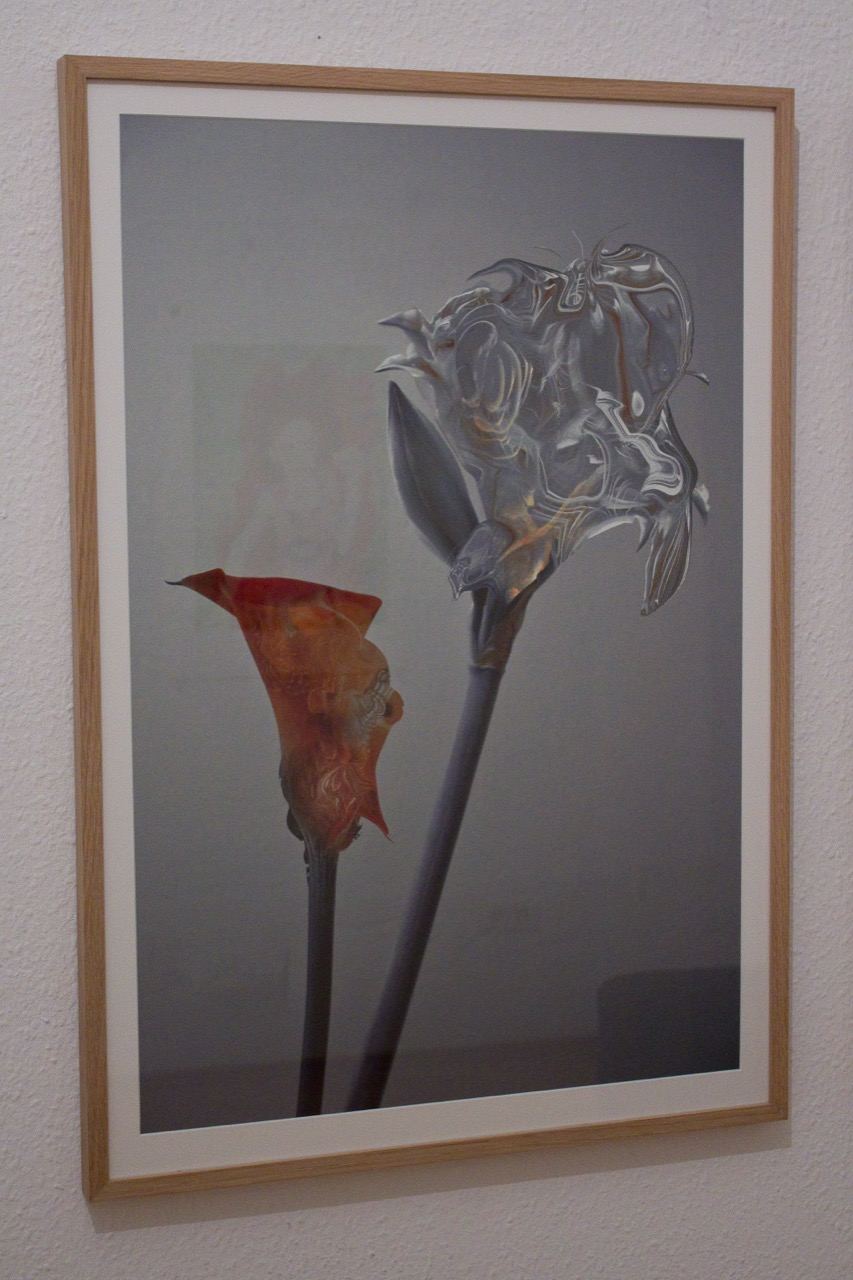 Inflorescence: installation view (7)