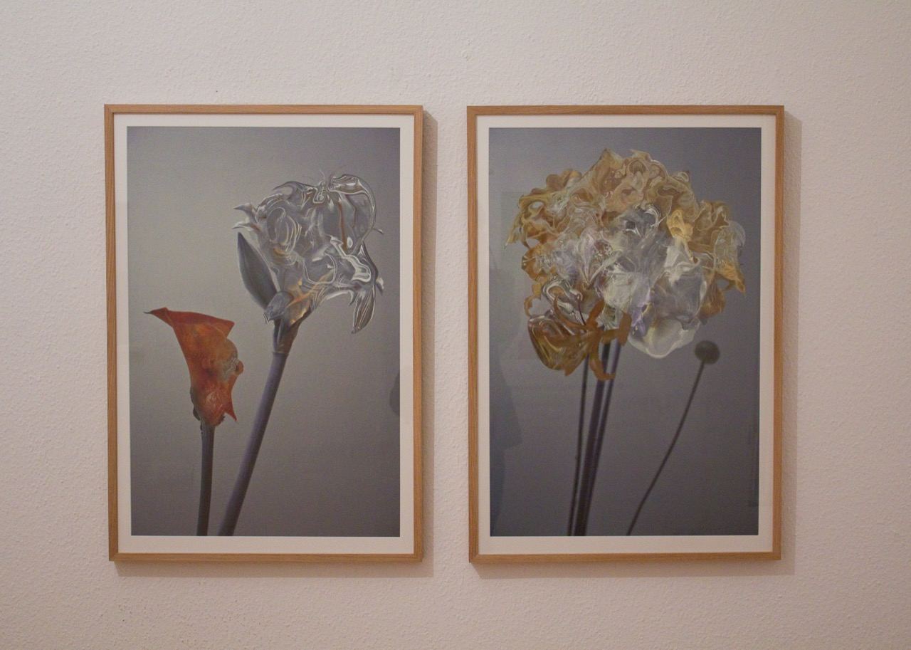 Inflorescence: installation view (8)