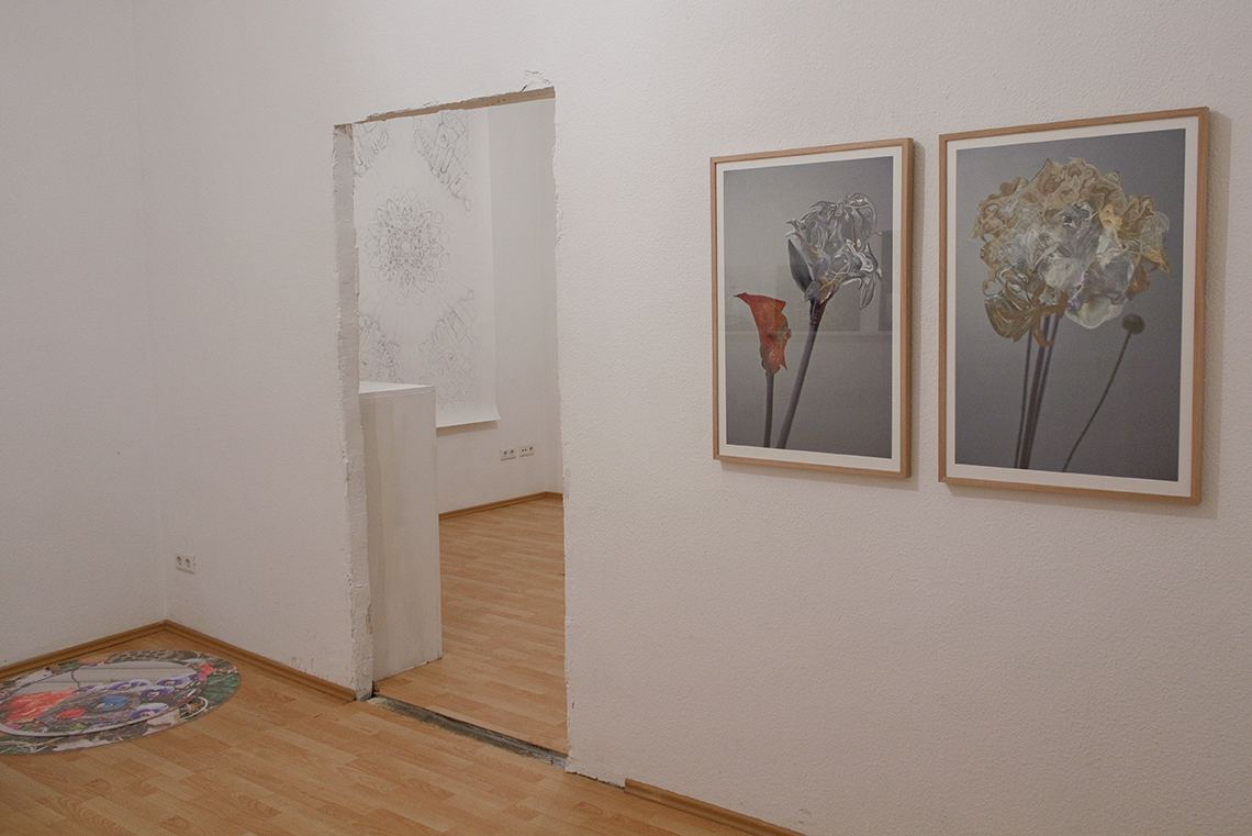 Inflorescence — installation view