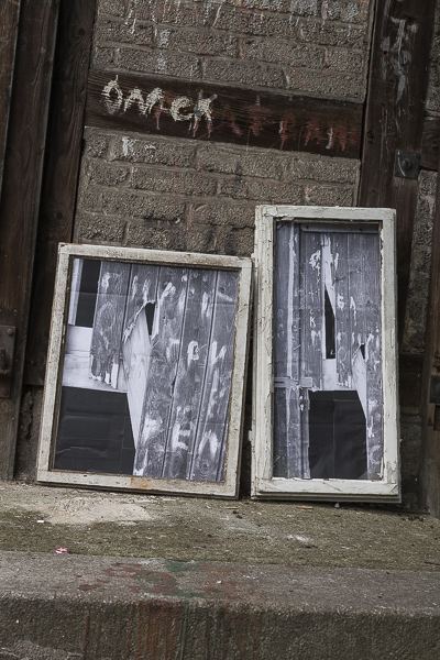 Witness, installation view